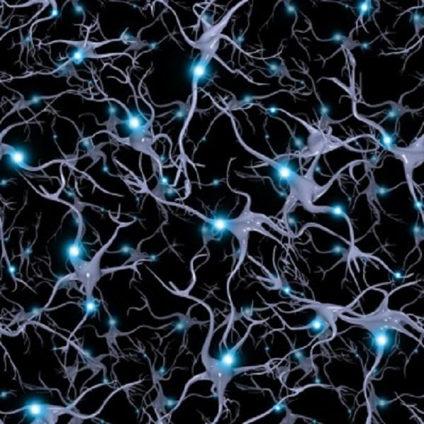 Não người được coi là một tiểu vụ trụ thu nhỏ
