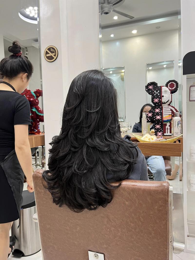 Ohkina Hair Premium