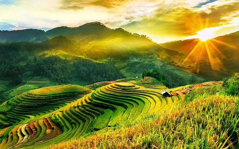 Những thửa ruộng bậc thang đẹp như mơ