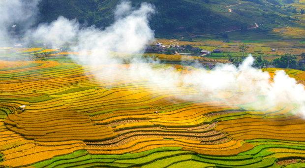 Mù Chang Cải - Mùa lúa chín