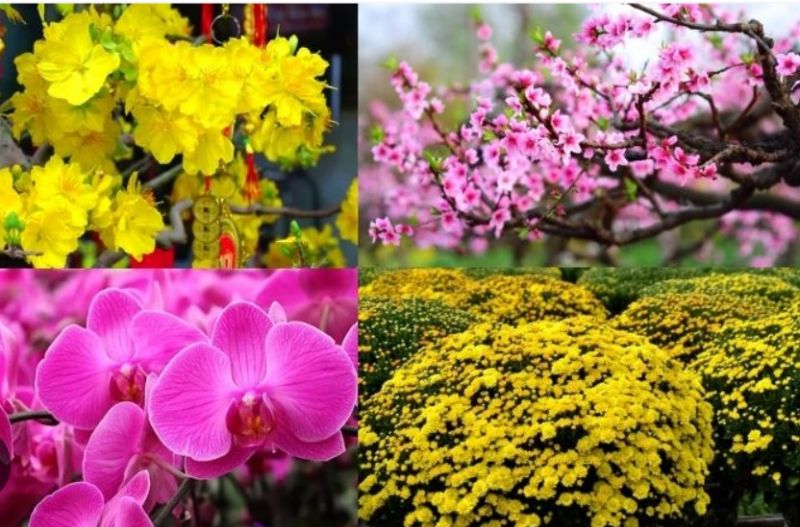 Ca khúc Việt Nam đón chào năm mới hay nhất