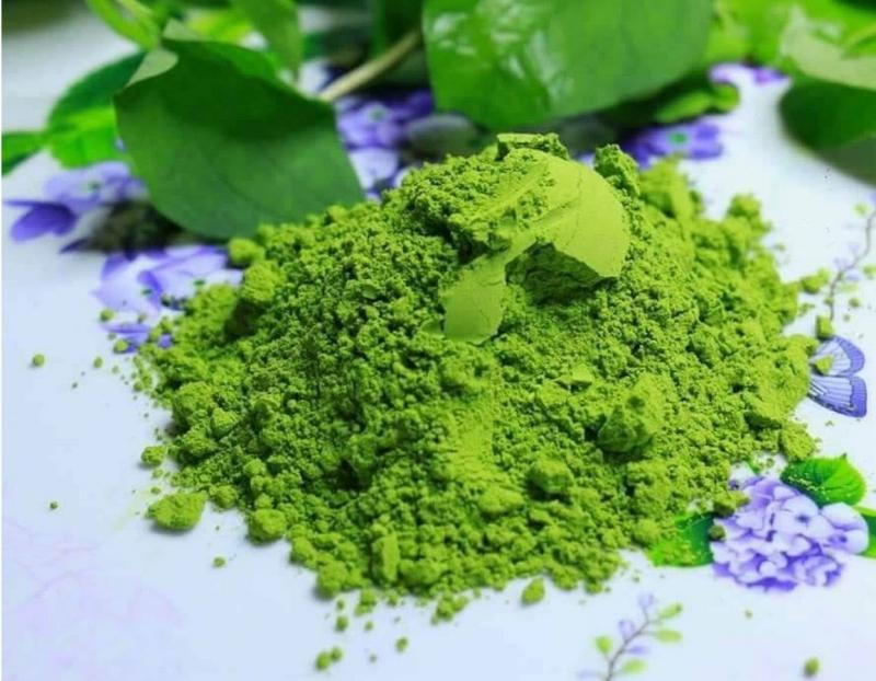 Rau diếp cá chữa viêm đường tiết niệu