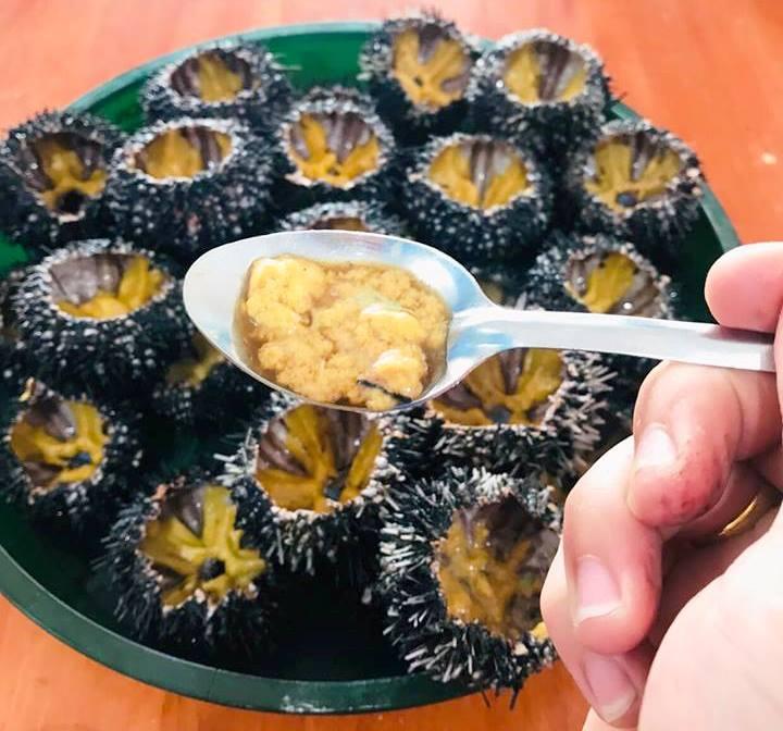 Nhum biển tươi