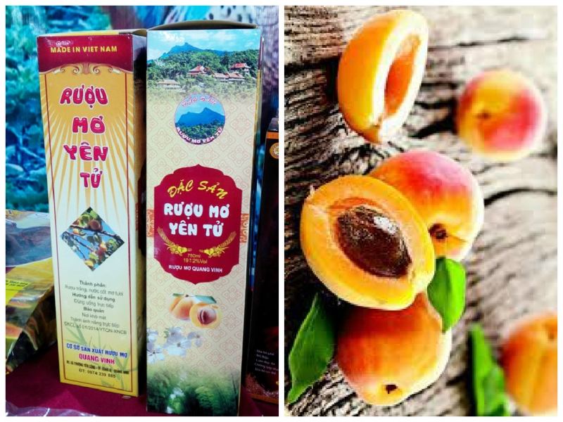 Rượu Mơ Yên Tử