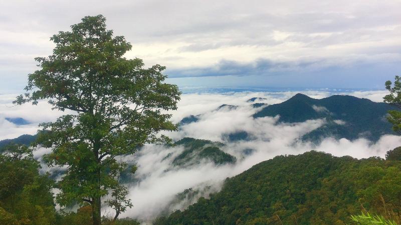 Núi Bạch Mã