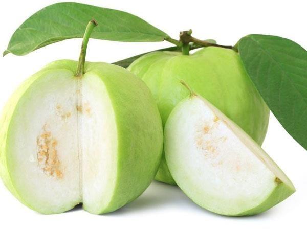 Ổi