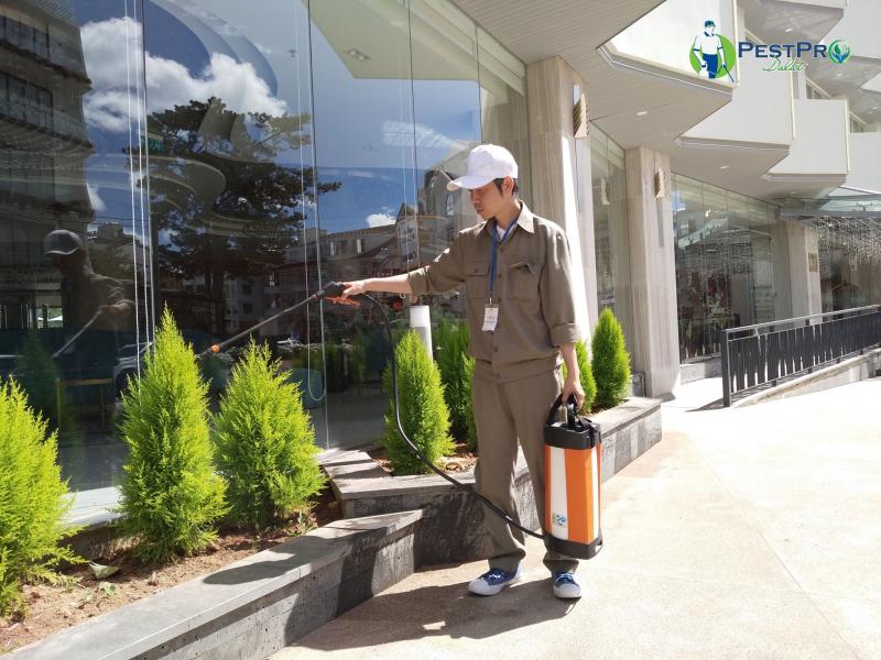 PestproDalat - Kiểm soát côn trùng dịch hại
