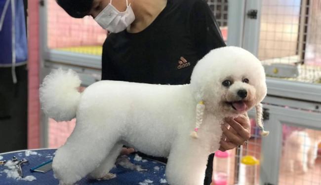 Pet Mart