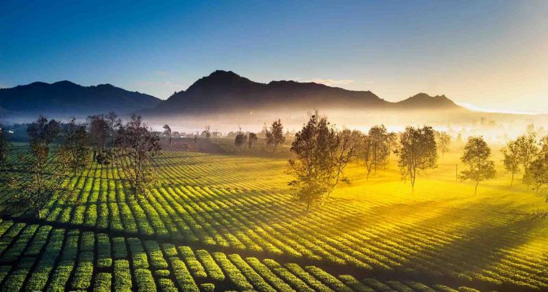 Phẩm chất anh hùng của các nhân vật trong 