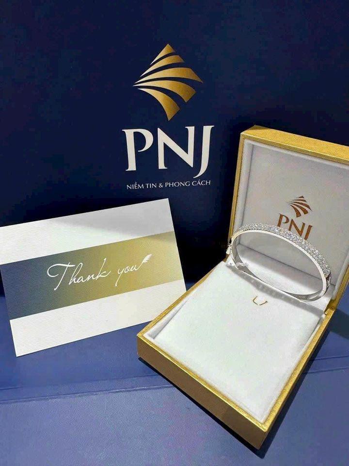 ﻿﻿PNJ