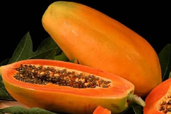 Đu Đủ là biểu tượng của đầy đủ thịnh vượng.﻿
