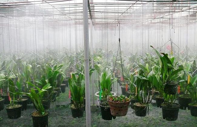 Quang Anh - Máy lọc nước, bếp từ
