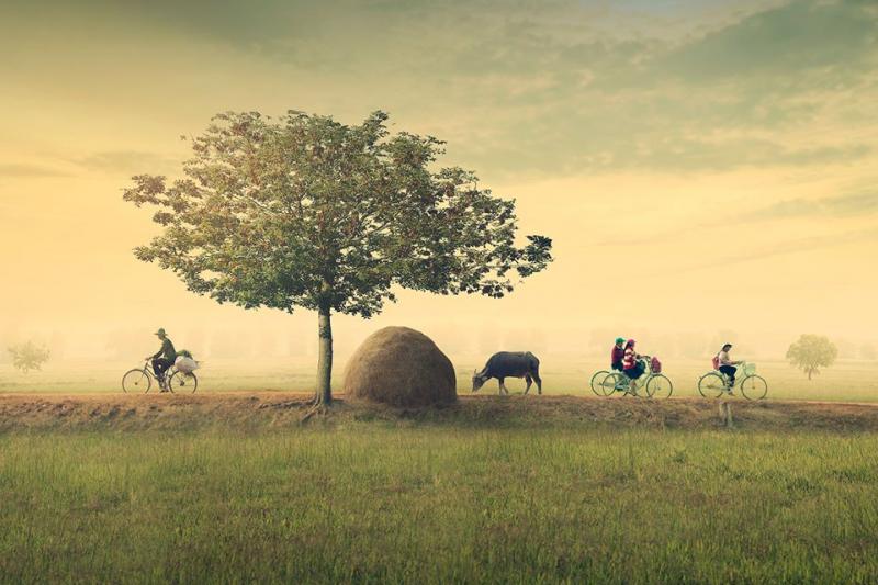 Hương vị quê xưa