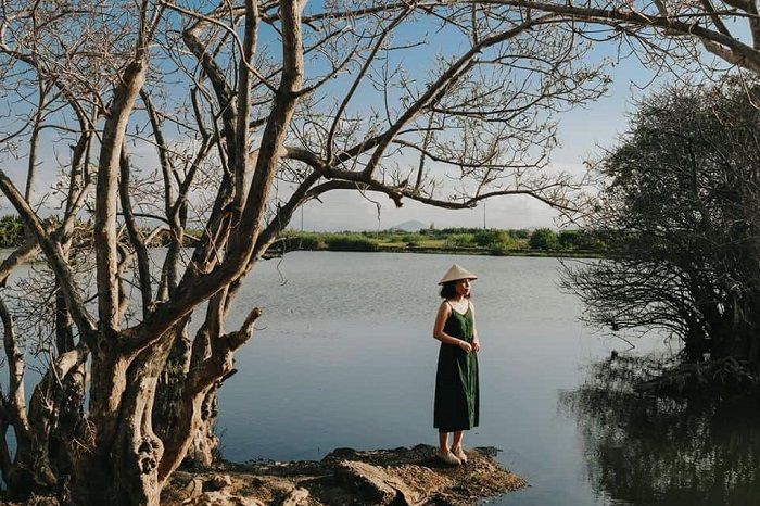 Rừng nguyên sinh Rú Chá