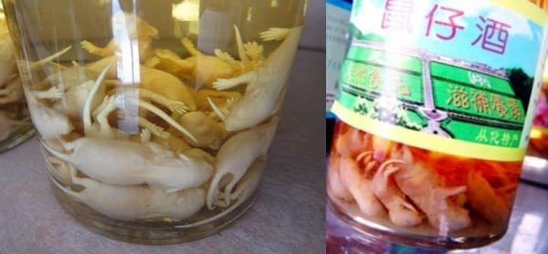 Rượu chuột bao tử ở Trung Quốc và Hàn Quốc