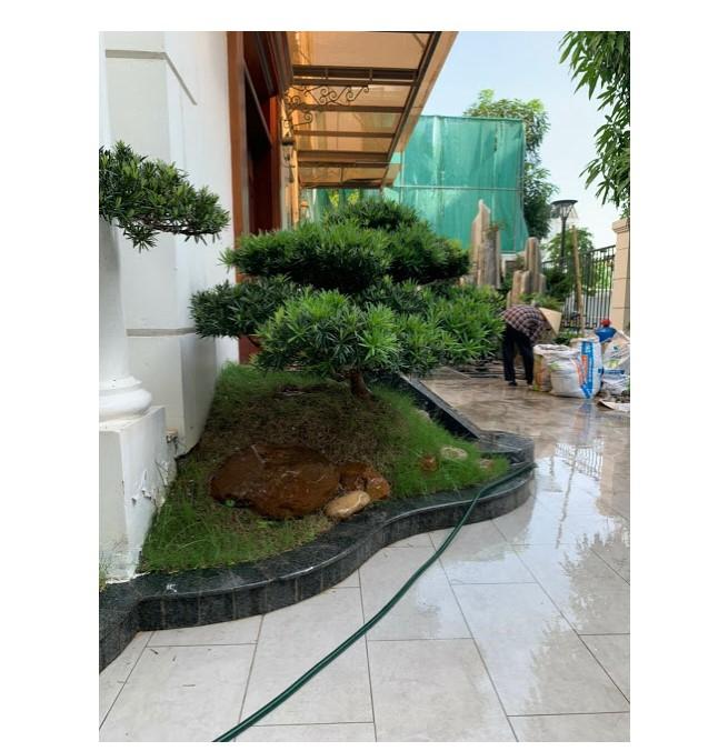 Shop cá cảnh Phượng Phong