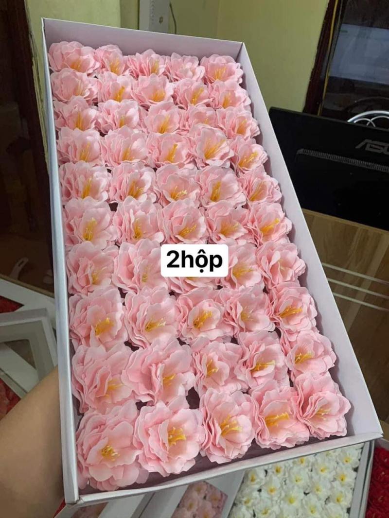 Sỉ lẻ hoa sáp giá rẻ TP Vinh
