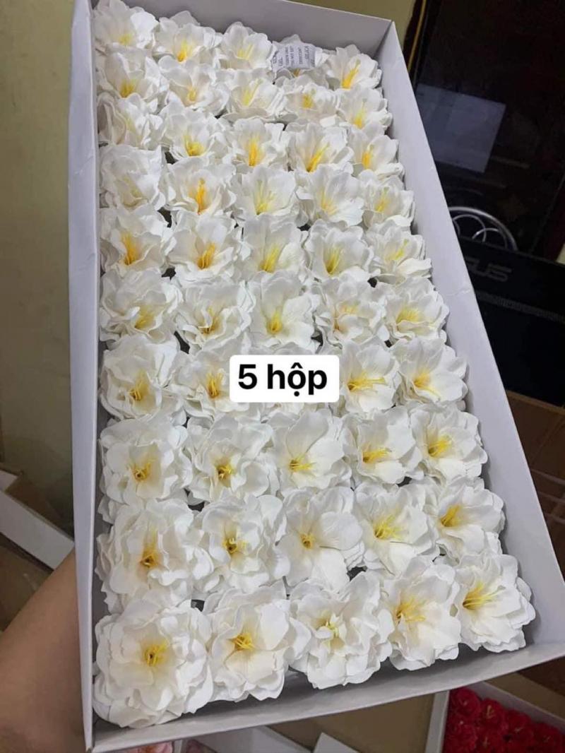 Sỉ lẻ hoa sáp giá rẻ TP Vinh