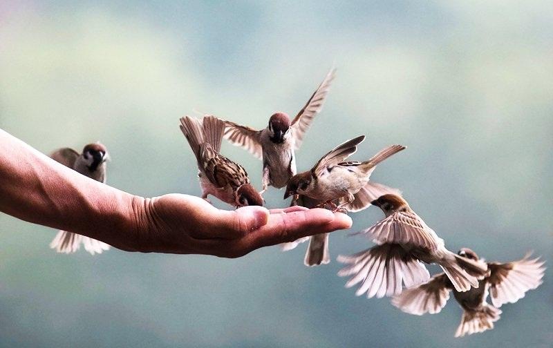 Chủ đề về tuổi thơ, hồi còn đi học