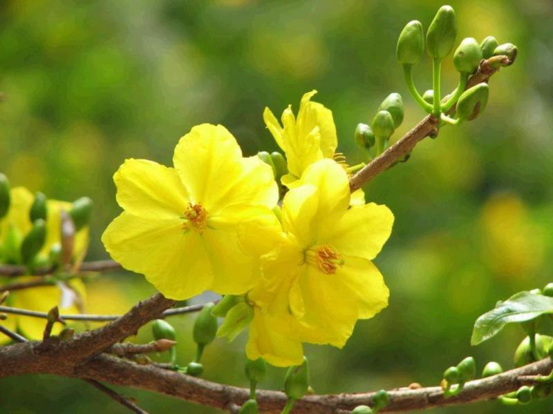 Bài phát biểu tặng quà tết cho người nghèo