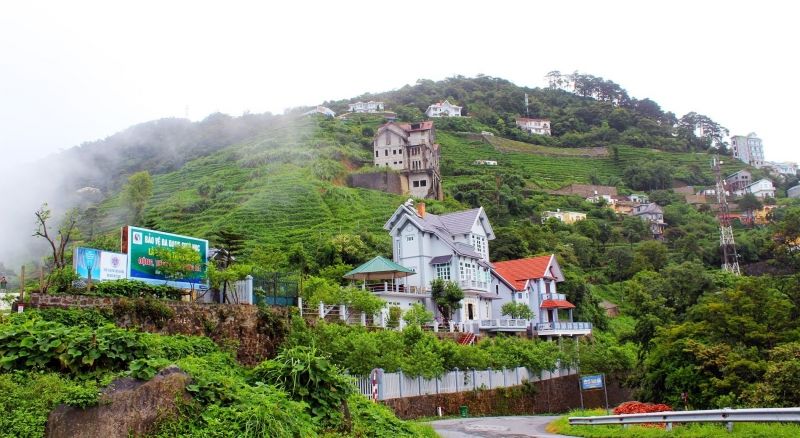 Tam Đảo luôn hấp dẫn khách du lịch trong và ngoài nước