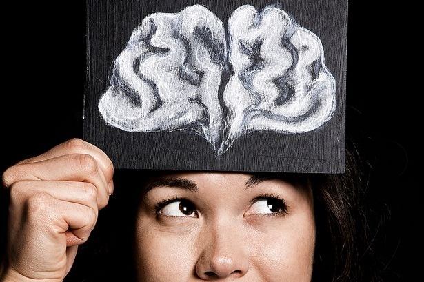 Việt quất đẩy lùi nguy cơ nhiễm độc thần kinh, thoái hóa não bộ