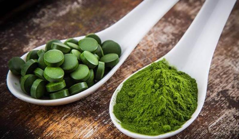 Tảo xoắn Spirulina Japan Algae