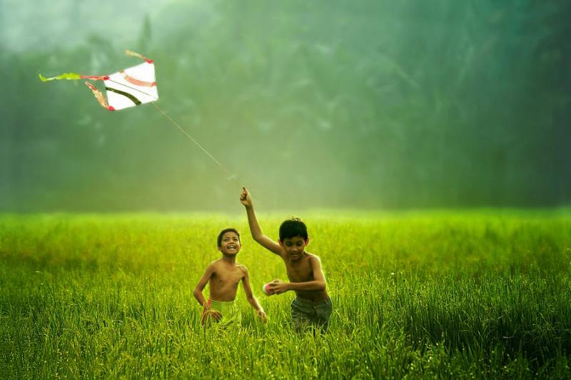 Thả diều trên đồng ruộng