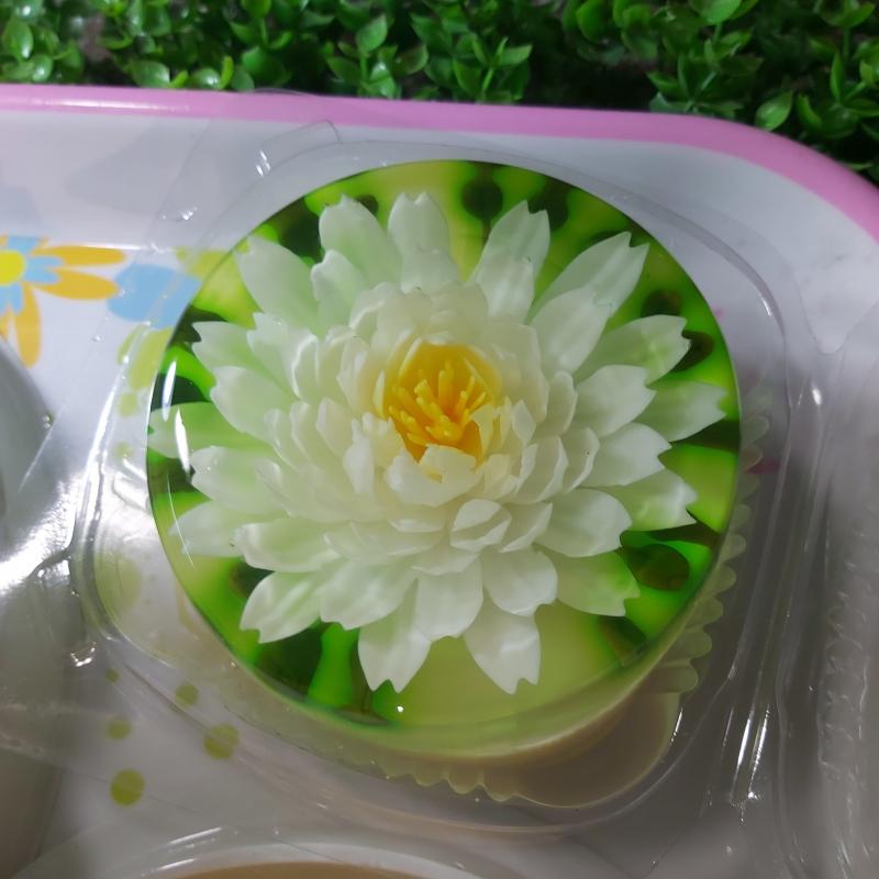 Thạch Rau Câu 3D Hải Phòng