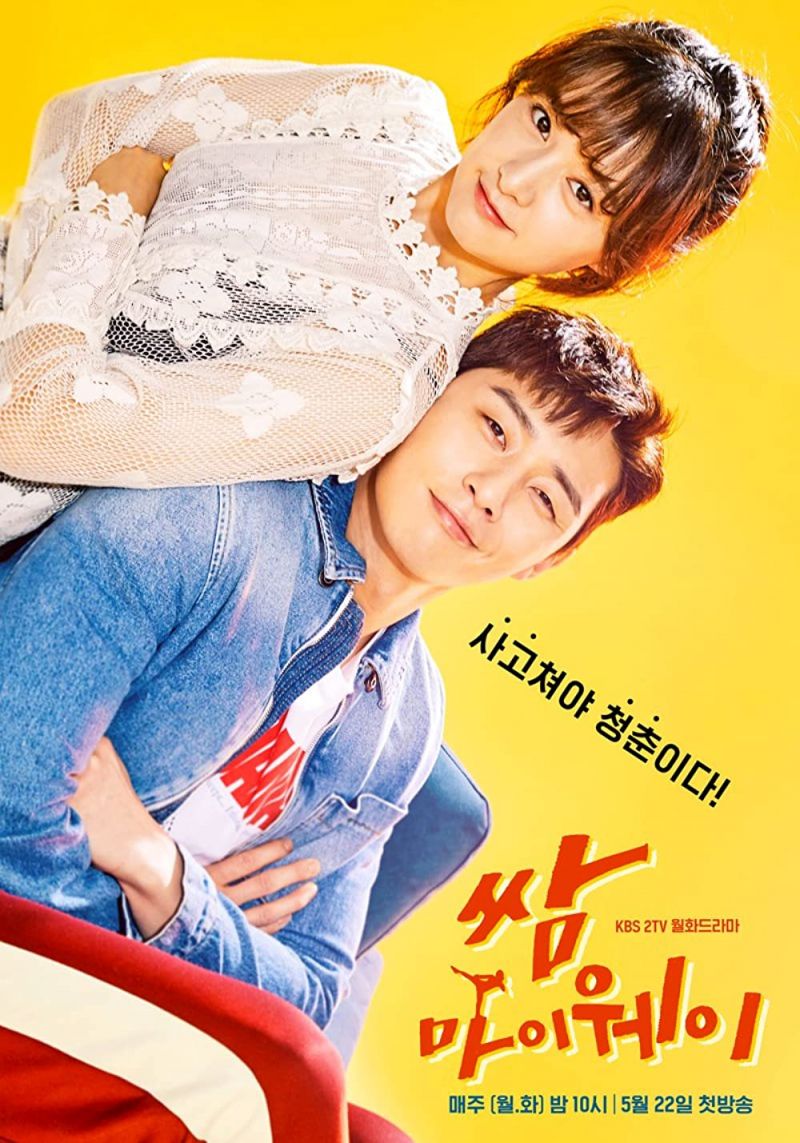 Thanh xuân vật vã (Fight For My Way) - 2017