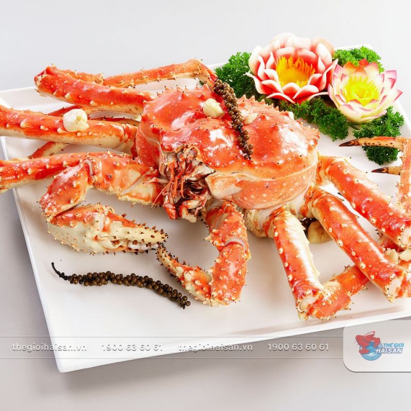 Thế Giới Hải Sản