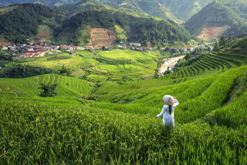 Thị trấn mờ sương
