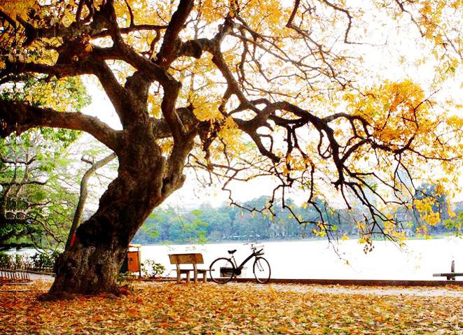 Thủ đô Hà Nội lãng mạn sang thu