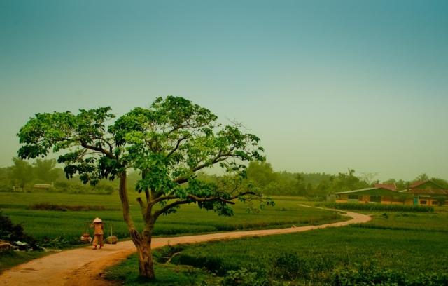 Nhớ mẹ...nhớ quê...!