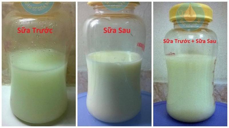 Sữa đầu và sữa cuối