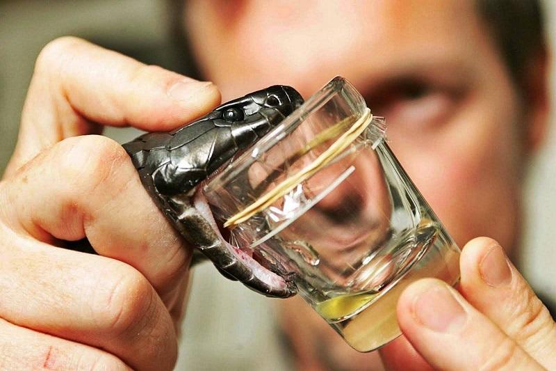 Sử dụng các tinh chất trong nọc rắn để chăm sóc, cải thiện làn da
