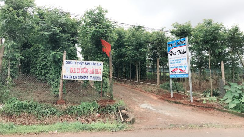 Trại Cá Giống Hải Thảo