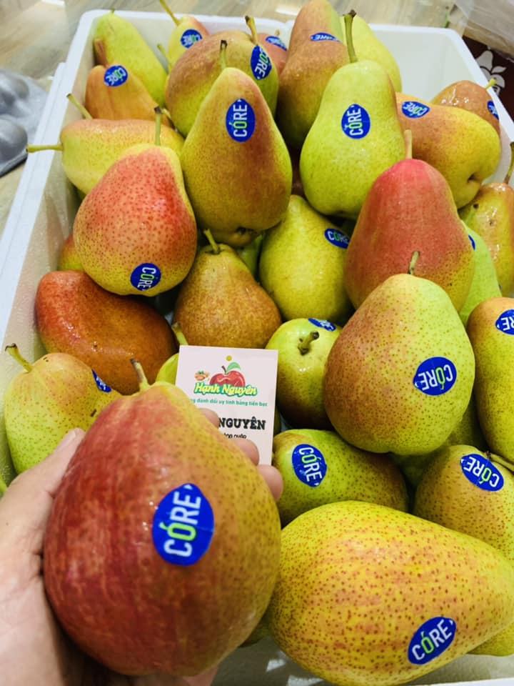 Trái Cây Nhập Khẩu Hạnh Nguyên
