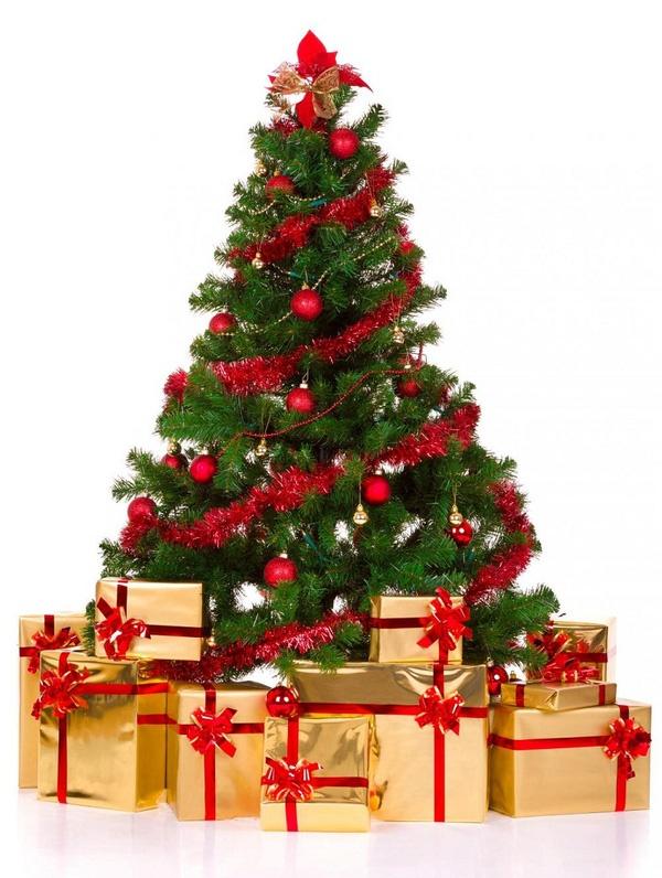 Trang trí cây thông Noel