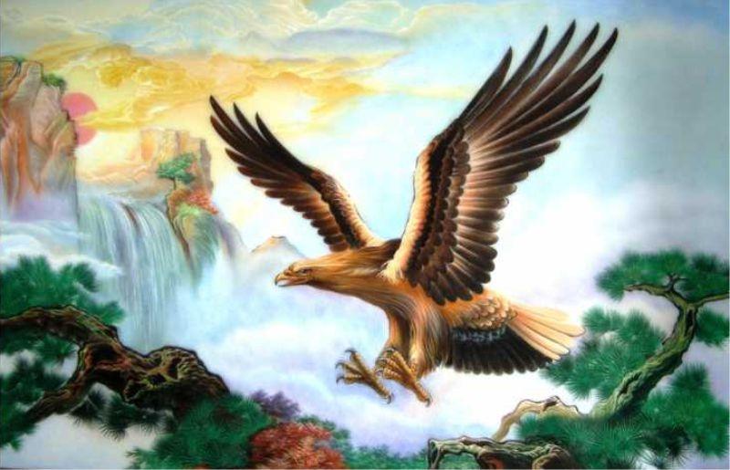 Đại bàng tung cánh