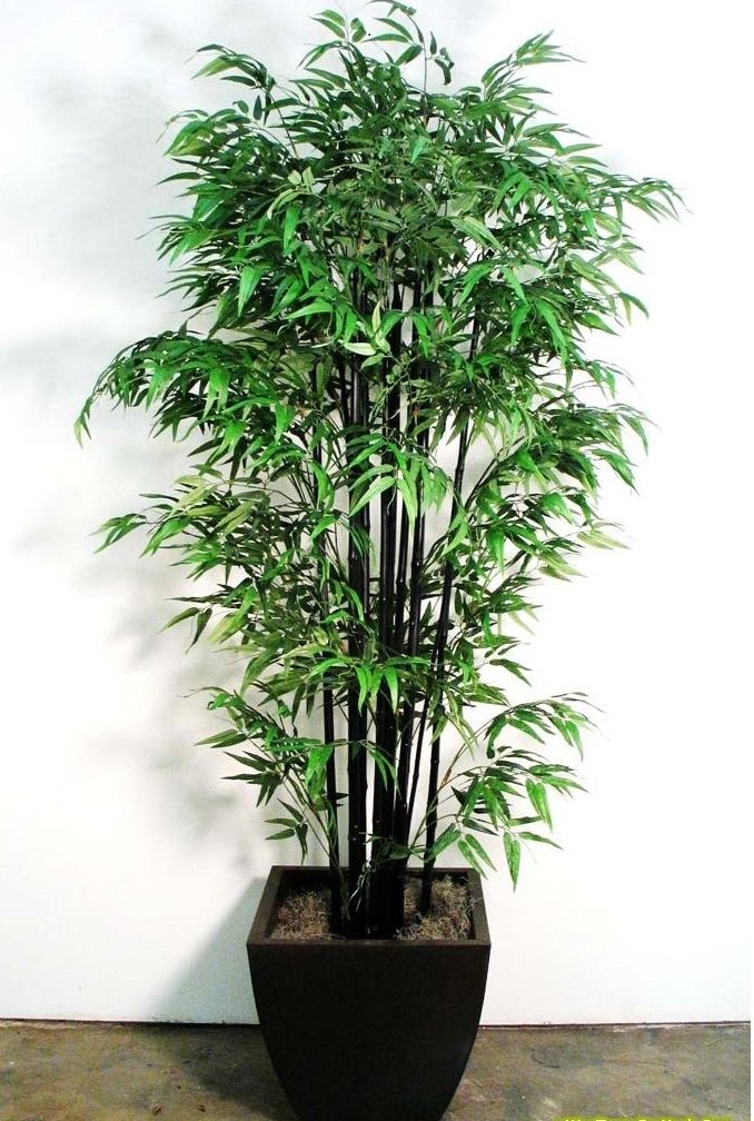 Tre cảnh