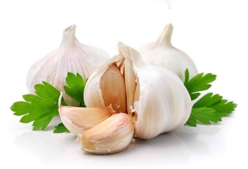 Tỏi là phương thuốc trị mụn từ thiên nhiên hiệu quả