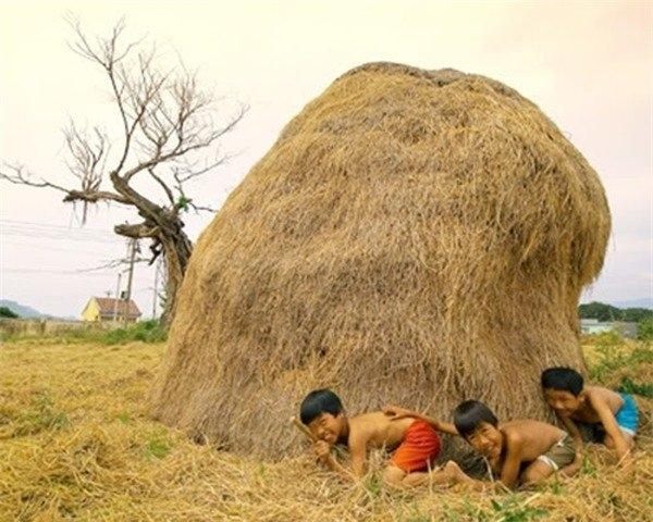 Trốn sau đống rơm