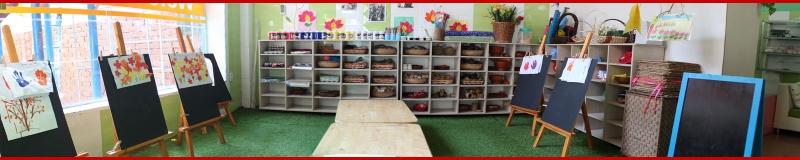 Trung tâm Anh ngữ VIỆT MỸ ÚC – AVS