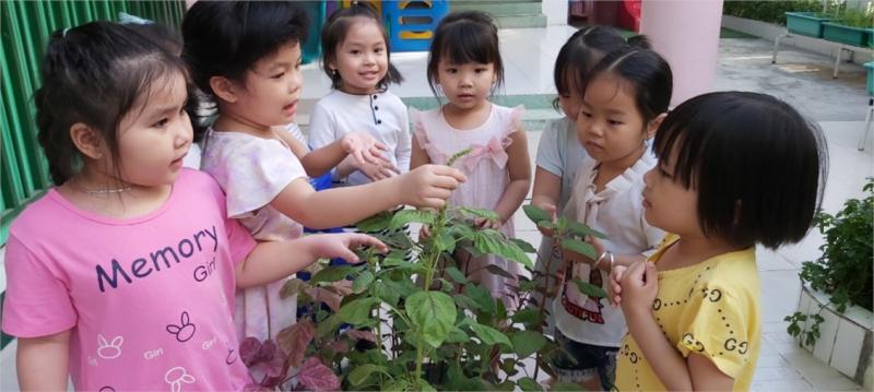 Trường Mầm non 10