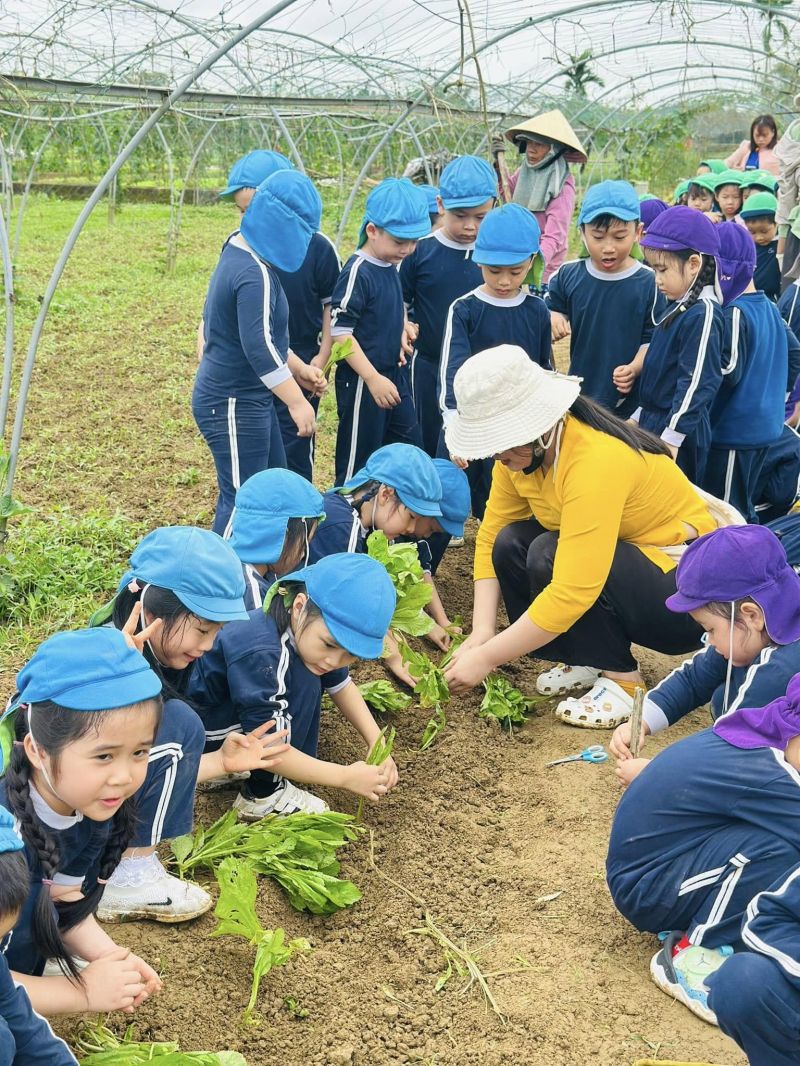Trường Mầm non Bồ Công Anh