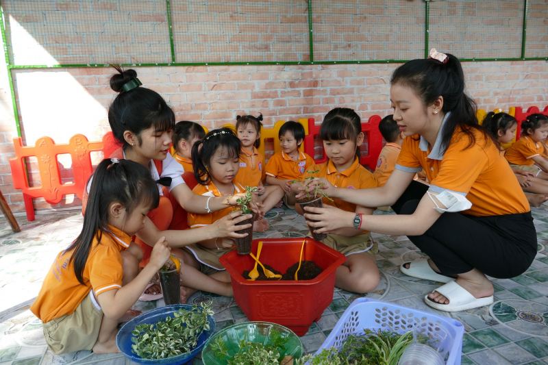 Bạn mới