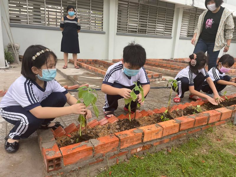 Trường Tiểu Học Nguyễn Du