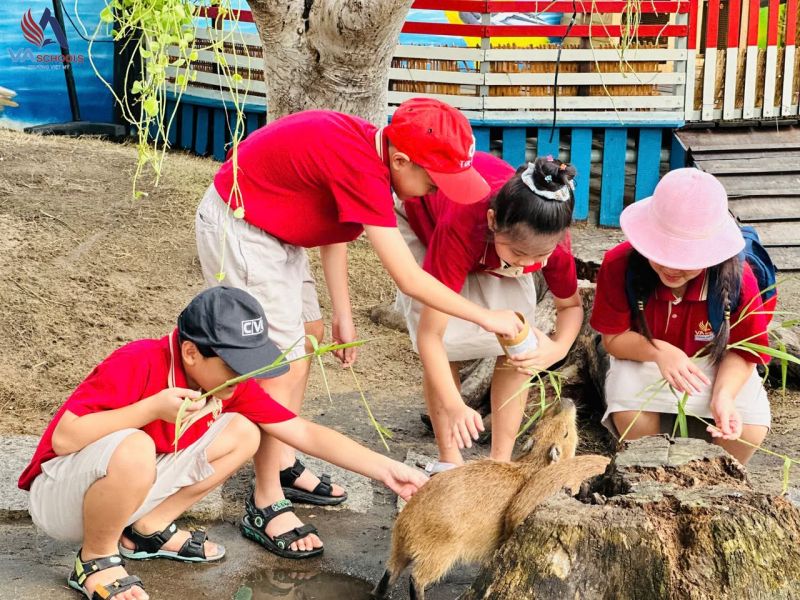 Trường Tiểu học VAschools Cần Thơ