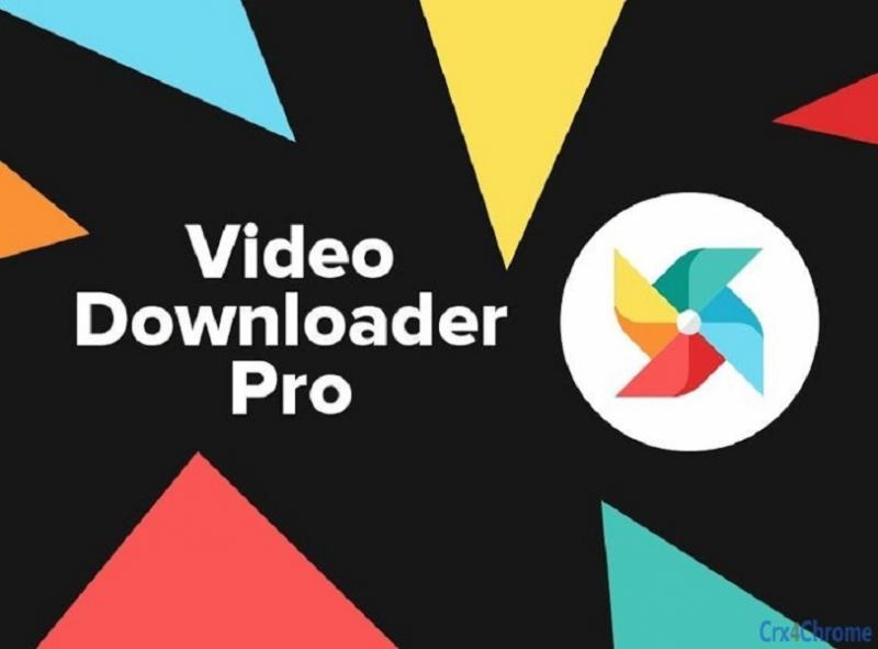 Video Downloader Pro